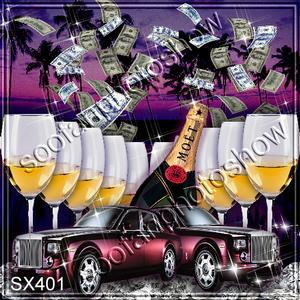 8'x8' SX401B12